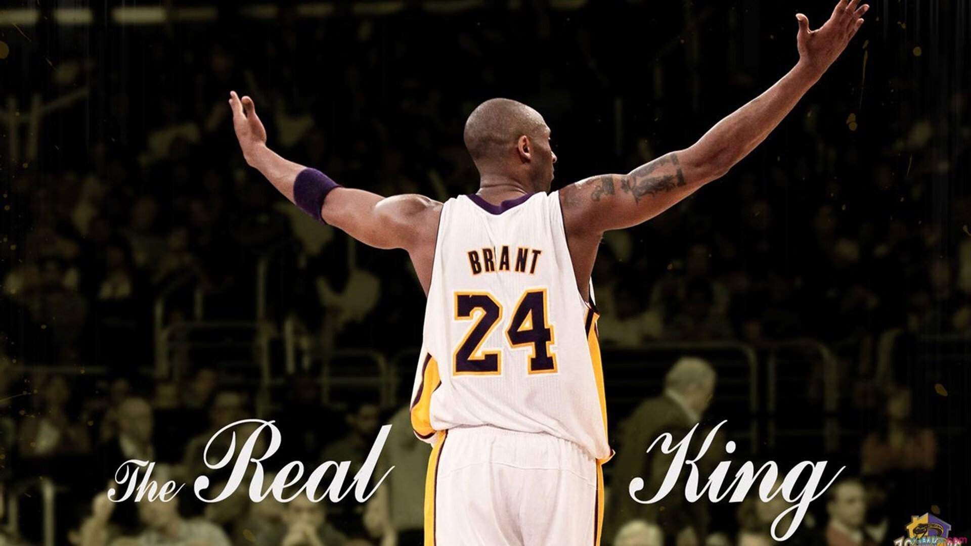 篮球进校园项目覆盖率扩大多所小学配备专业教练员,小学篮球队招生简章